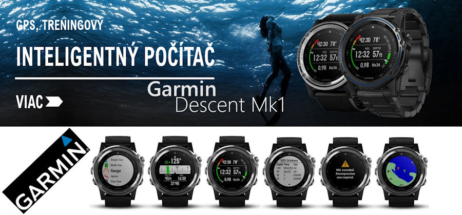 Garmin MK1