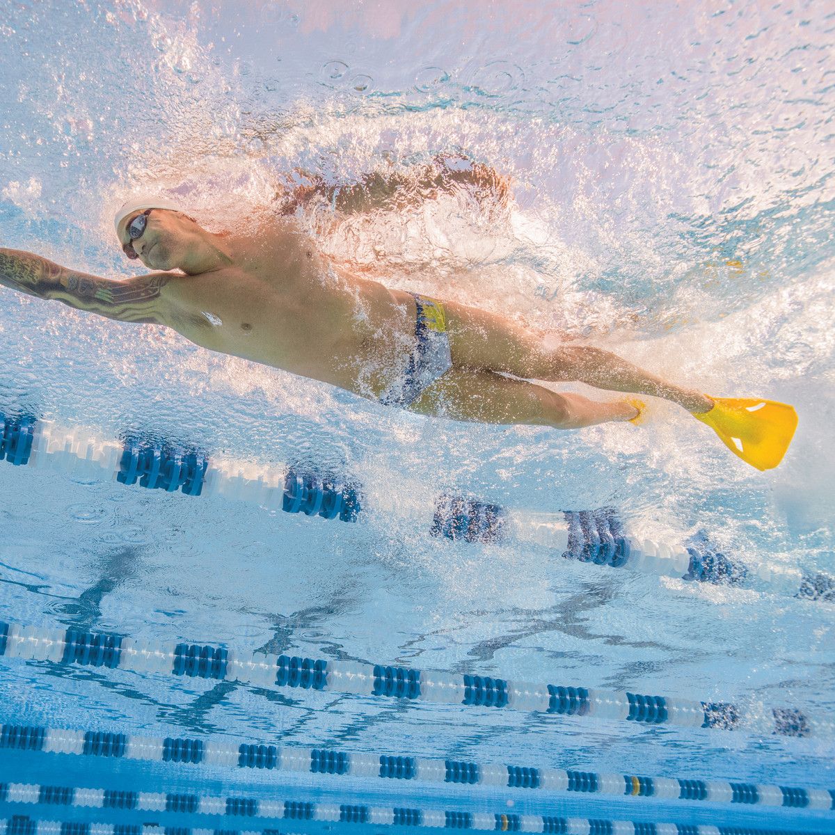 Plavecké plutvy Edge 